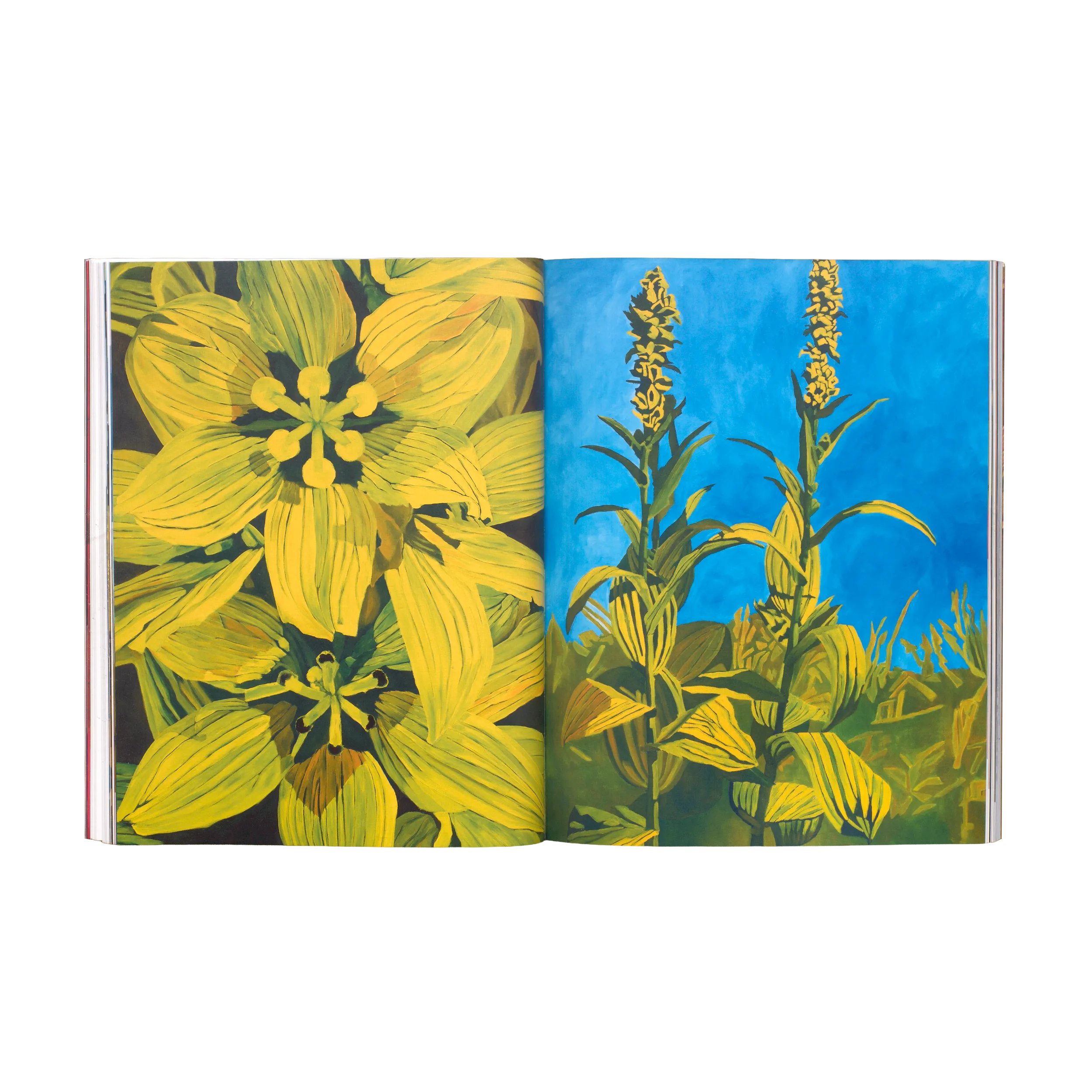 Anne Loch – Malerei, na und?, 2026, Zentrum Paul Klee, Mousse Publishing, Softcover, 232 pages, 210 × 270 mm (Studio Teo Schifferli)