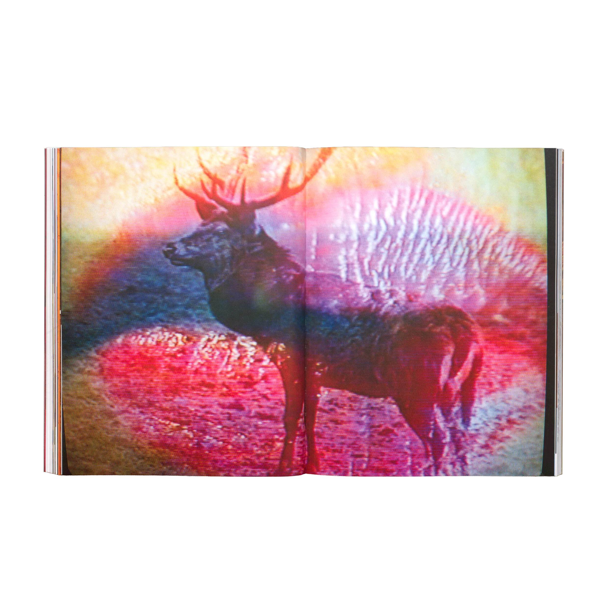Anne Loch – Malerei, na und?, 2026, Zentrum Paul Klee, Mousse Publishing, Softcover, 232 pages, 210 × 270 mm (Studio Teo Schifferli)
