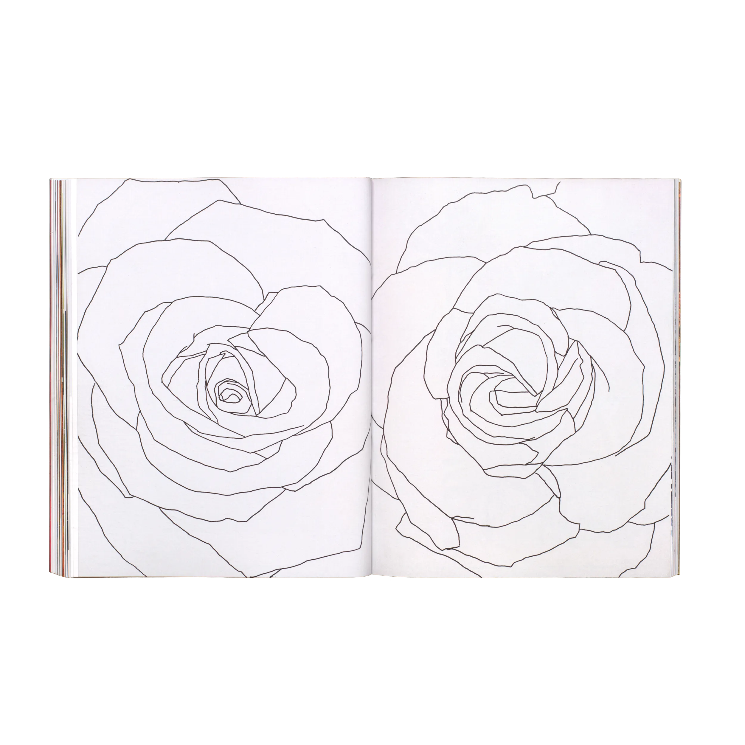 Anne Loch – Malerei, na und?, 2026, Zentrum Paul Klee, Mousse Publishing, Softcover, 232 pages, 210 × 270 mm (Studio Teo Schifferli)