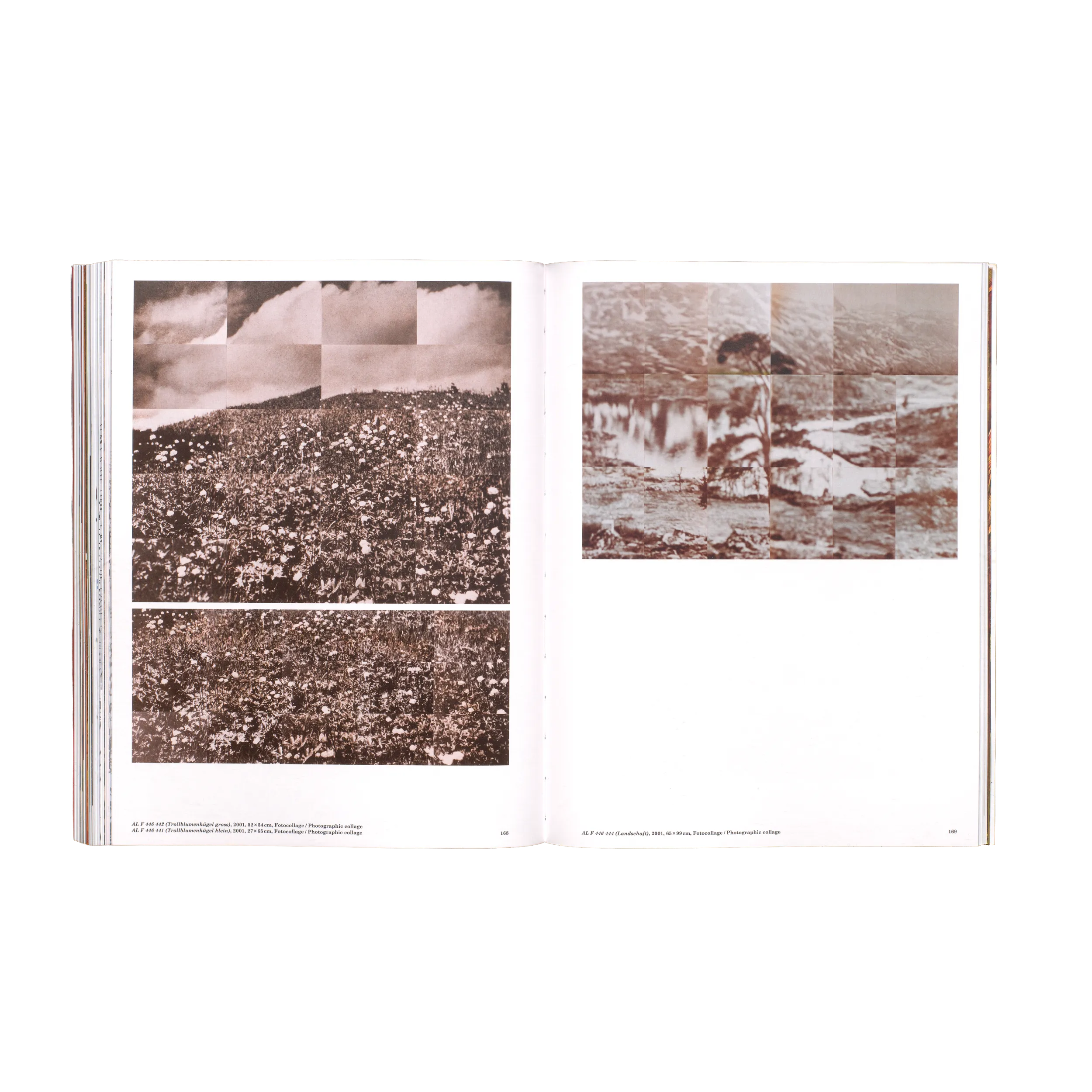 Anne Loch – Malerei, na und?, 2026, Zentrum Paul Klee, Mousse Publishing, Softcover, 232 pages, 210 × 270 mm (Studio Teo Schifferli)