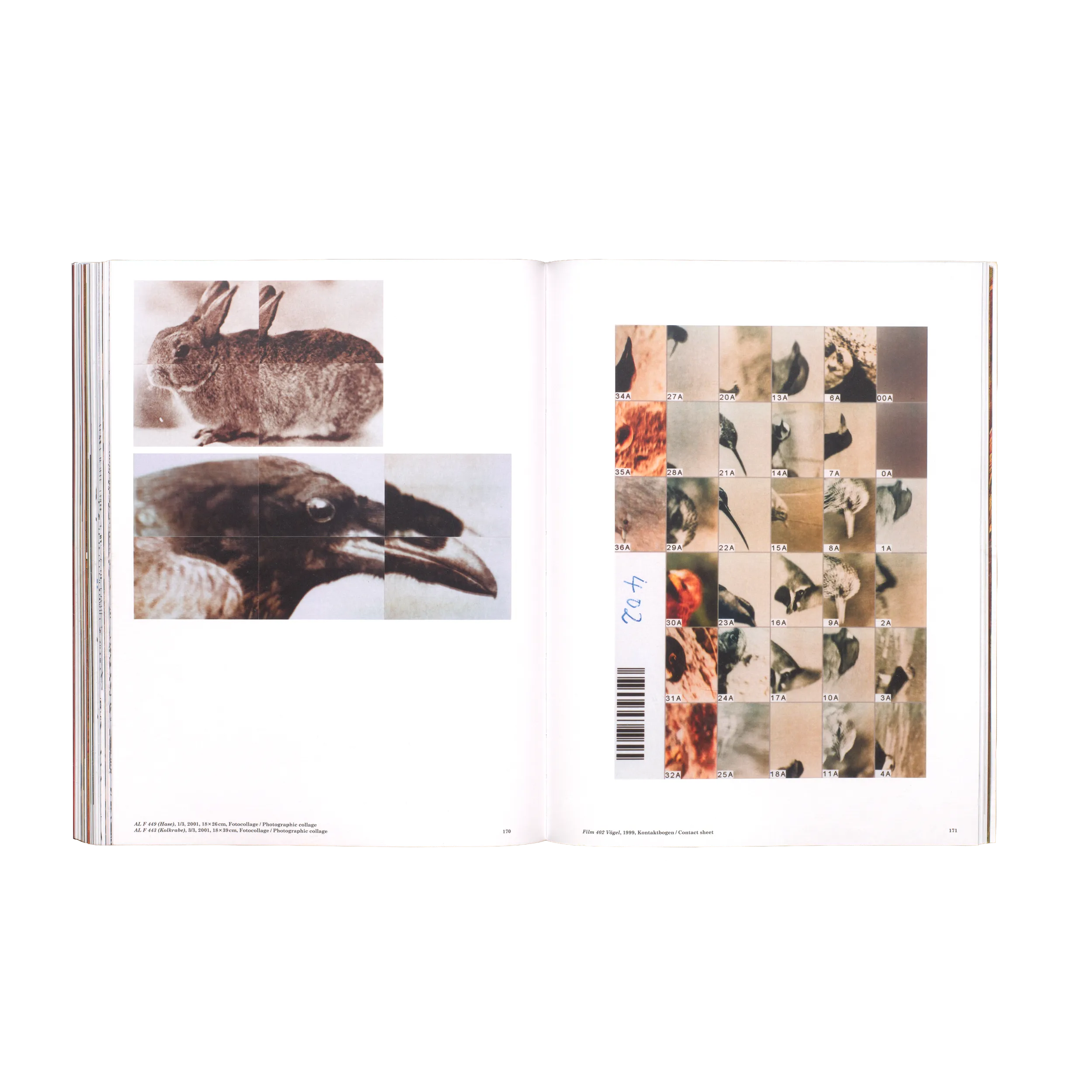 Anne Loch – Malerei, na und?, 2026, Zentrum Paul Klee, Mousse Publishing, Softcover, 232 pages, 210 × 270 mm (Studio Teo Schifferli)